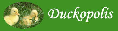 Duckopolis
